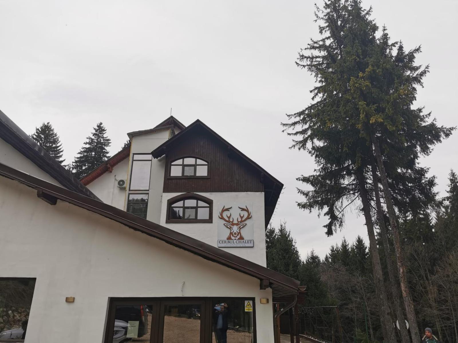 Cerbul Chalet Accommodation & Wellness Rîşnov Kültér fotó